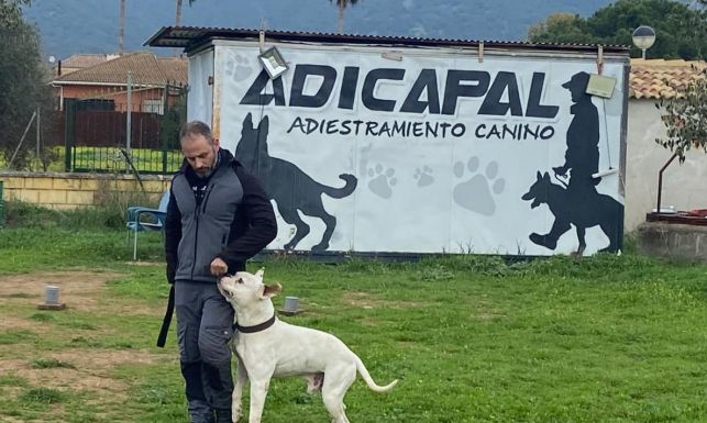 AUGC curso guía canino.